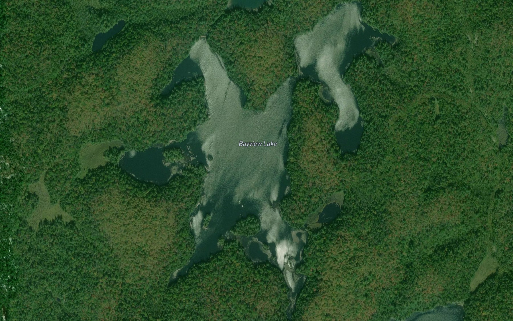 Satellite map of the Bayview Lake