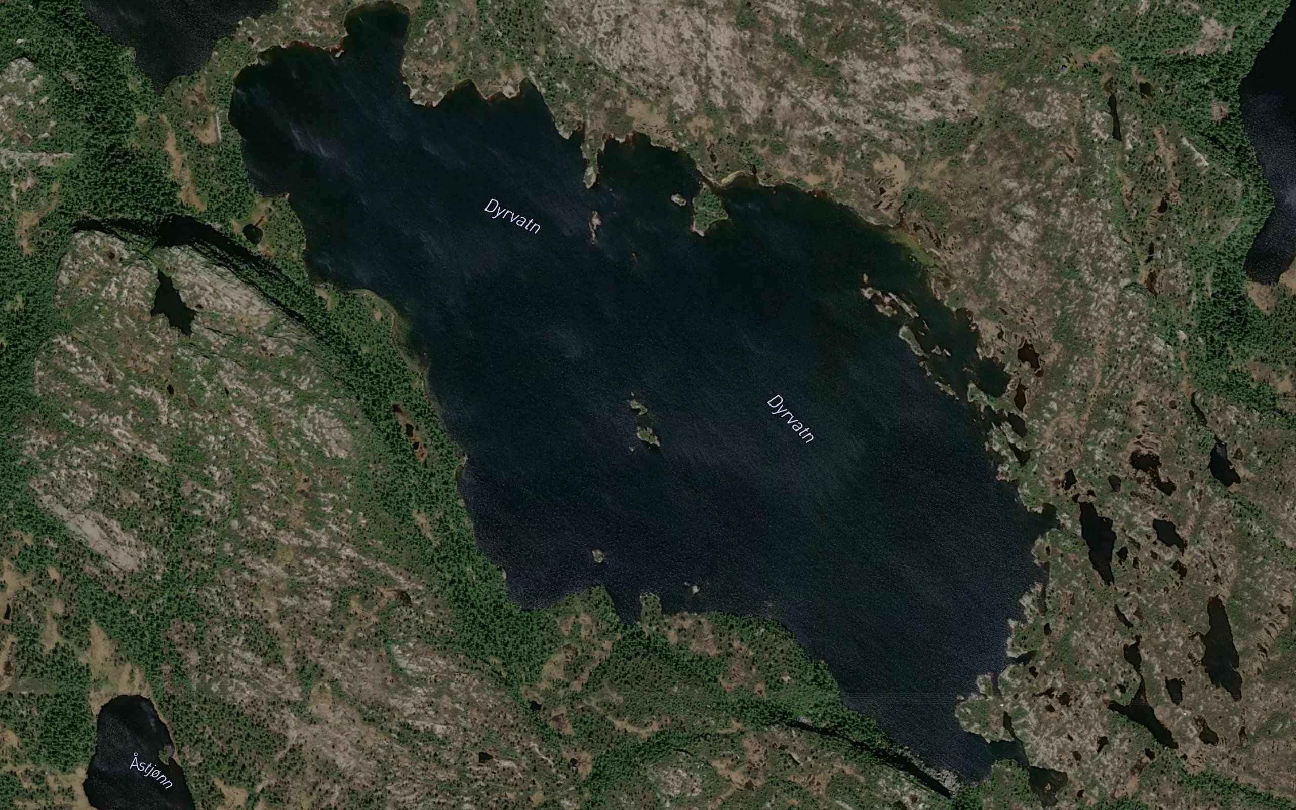 Dyrvatn