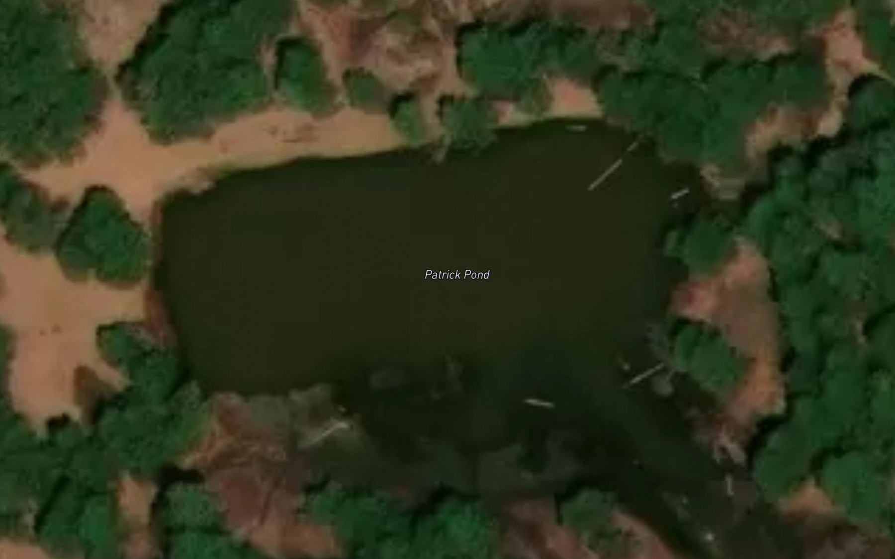 Satellite map of the Patrick Pond