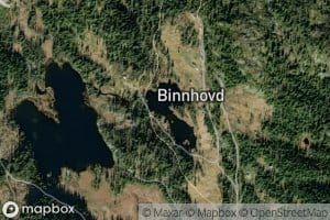 Binnhovdtjednet