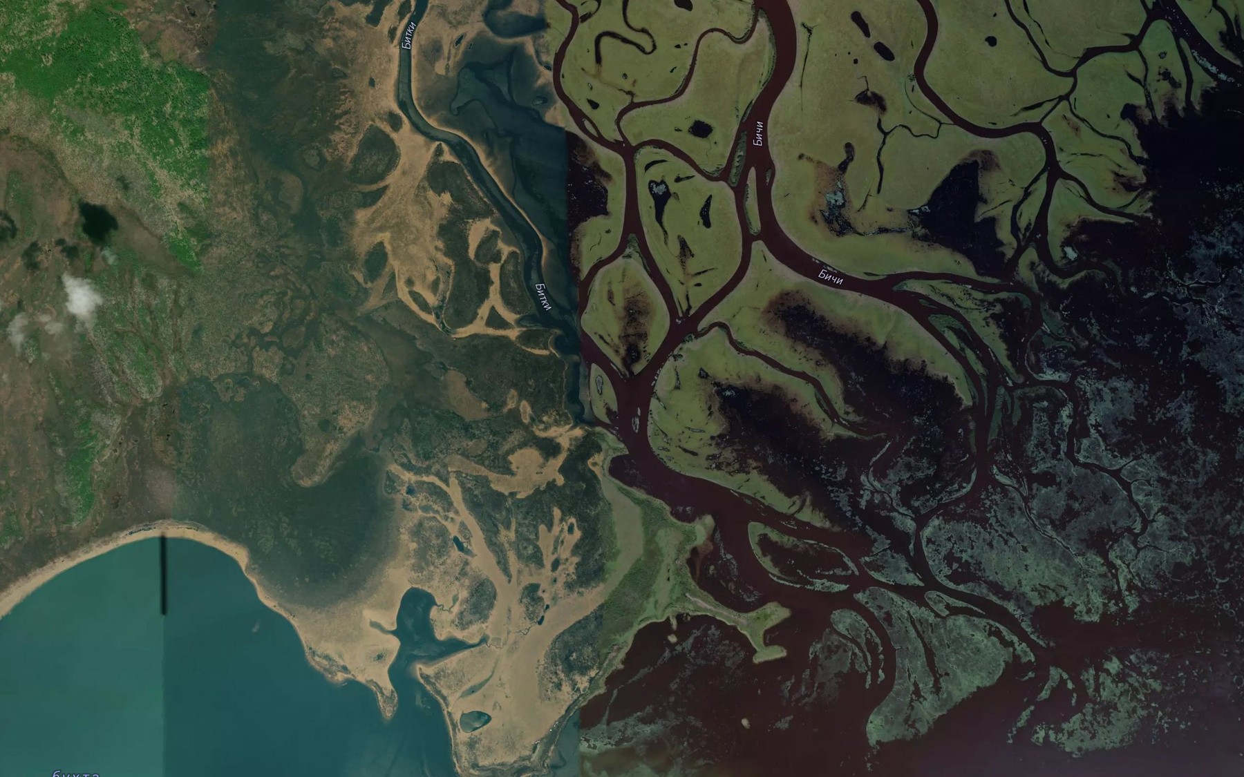 Satellite map of the Bitki