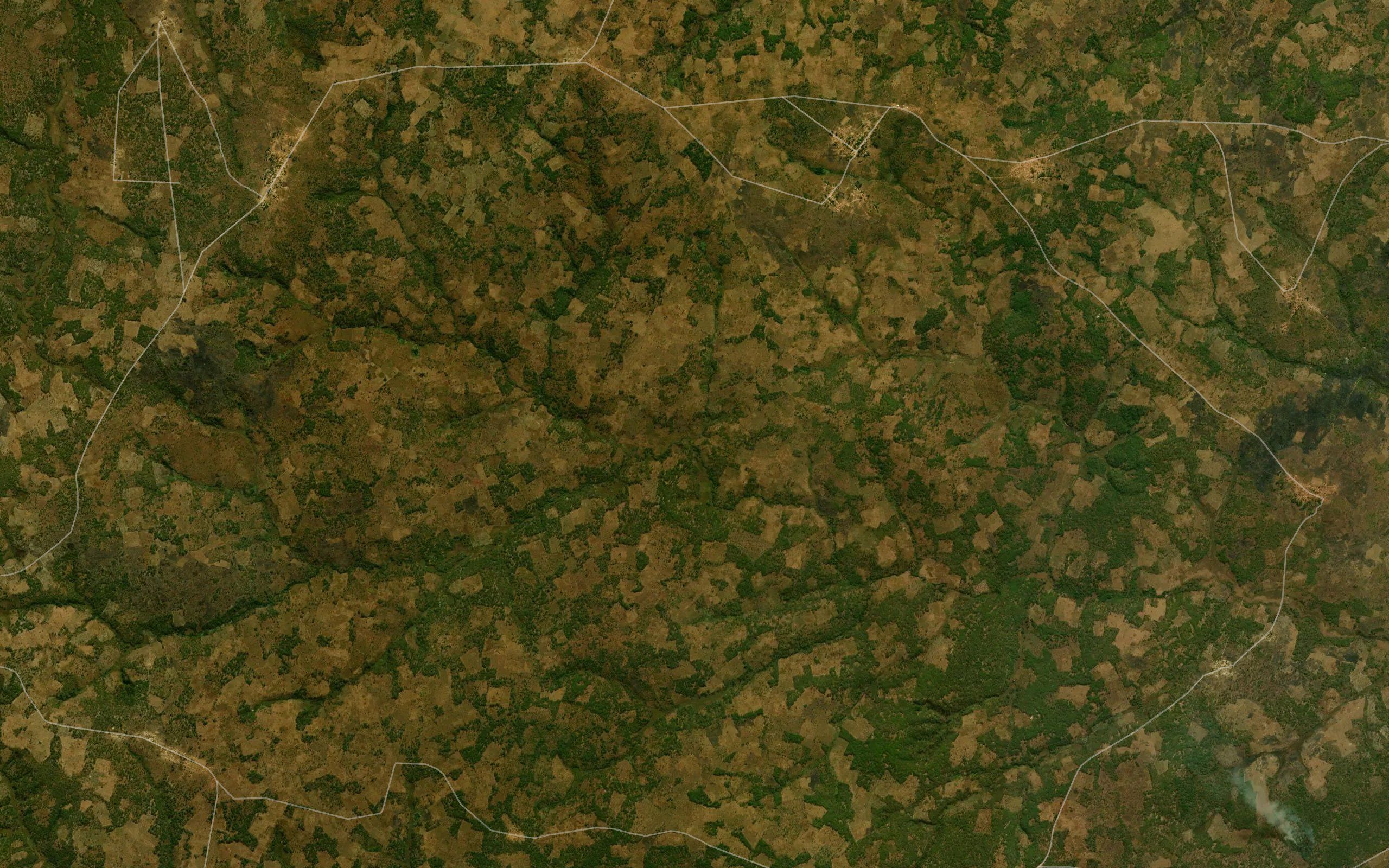 Camunda