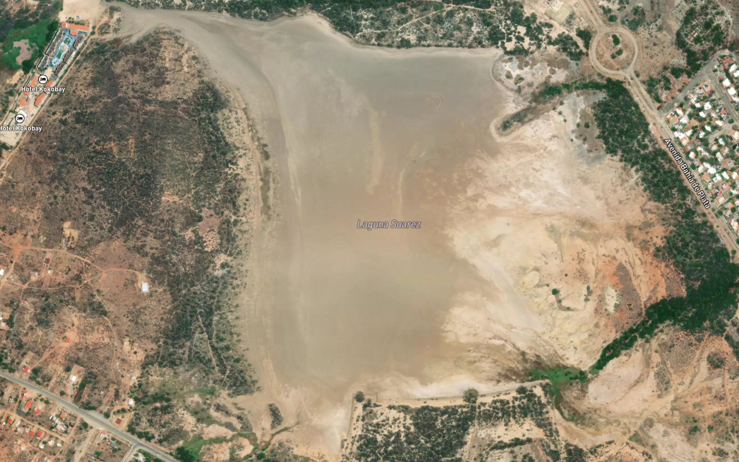Laguna Suarez