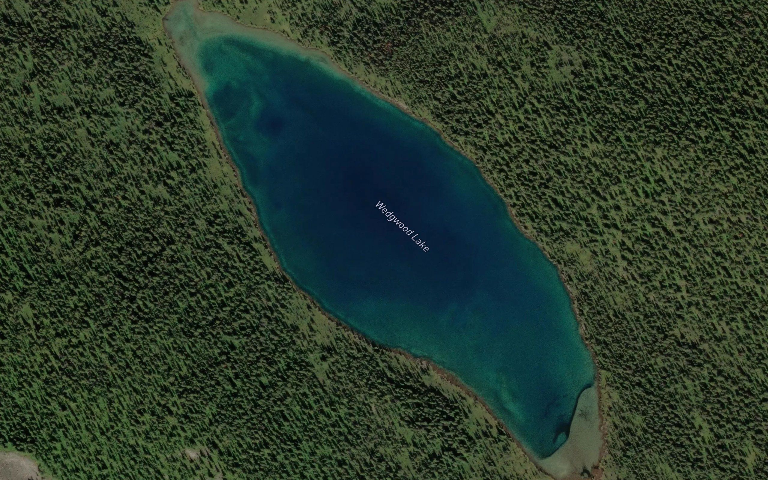 Wedgwood Lake