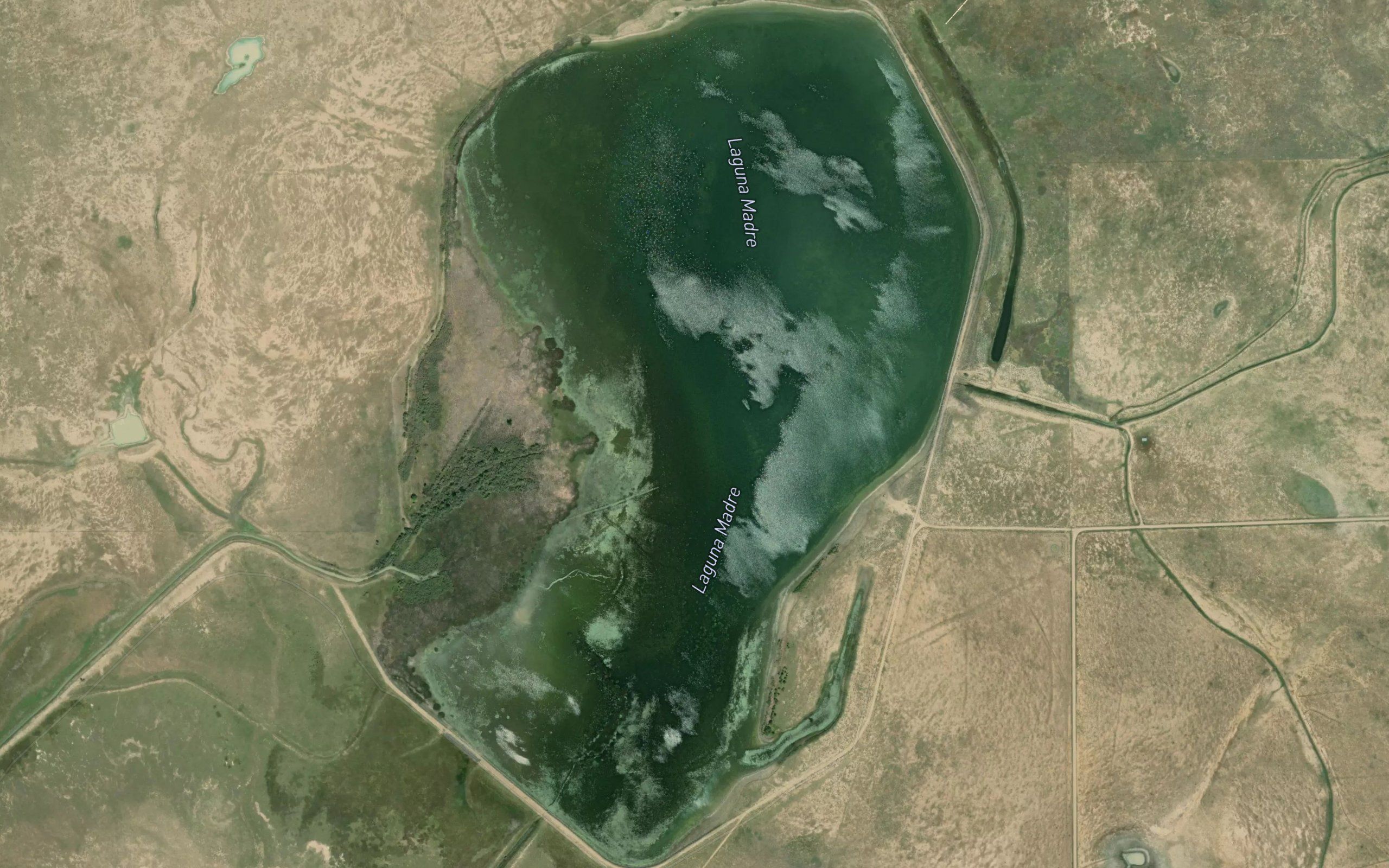 Laguna Madre