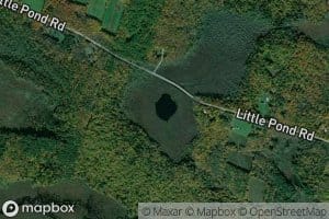 Negro Pond