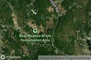 Bear Meadow Brook