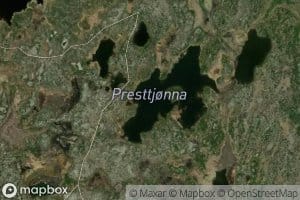 Presttjorna
