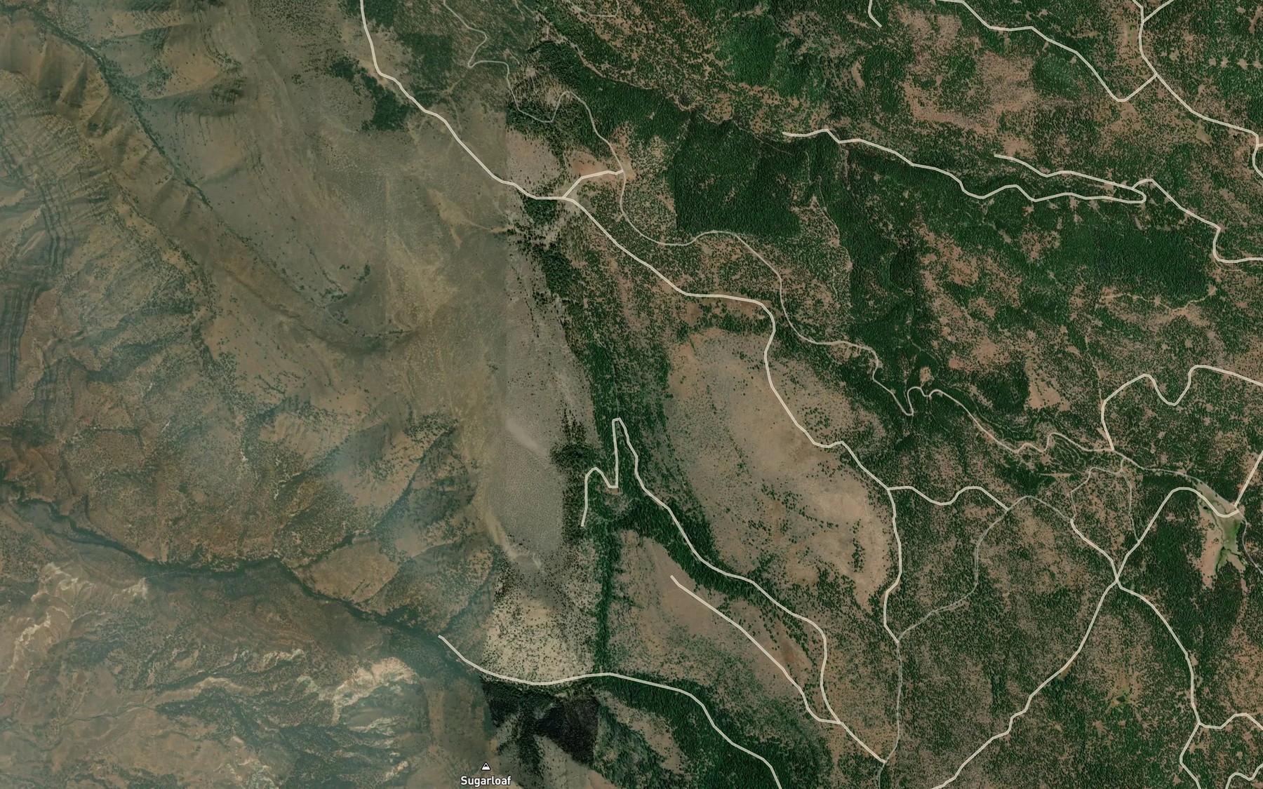 Satellite map of the Thorn Spring