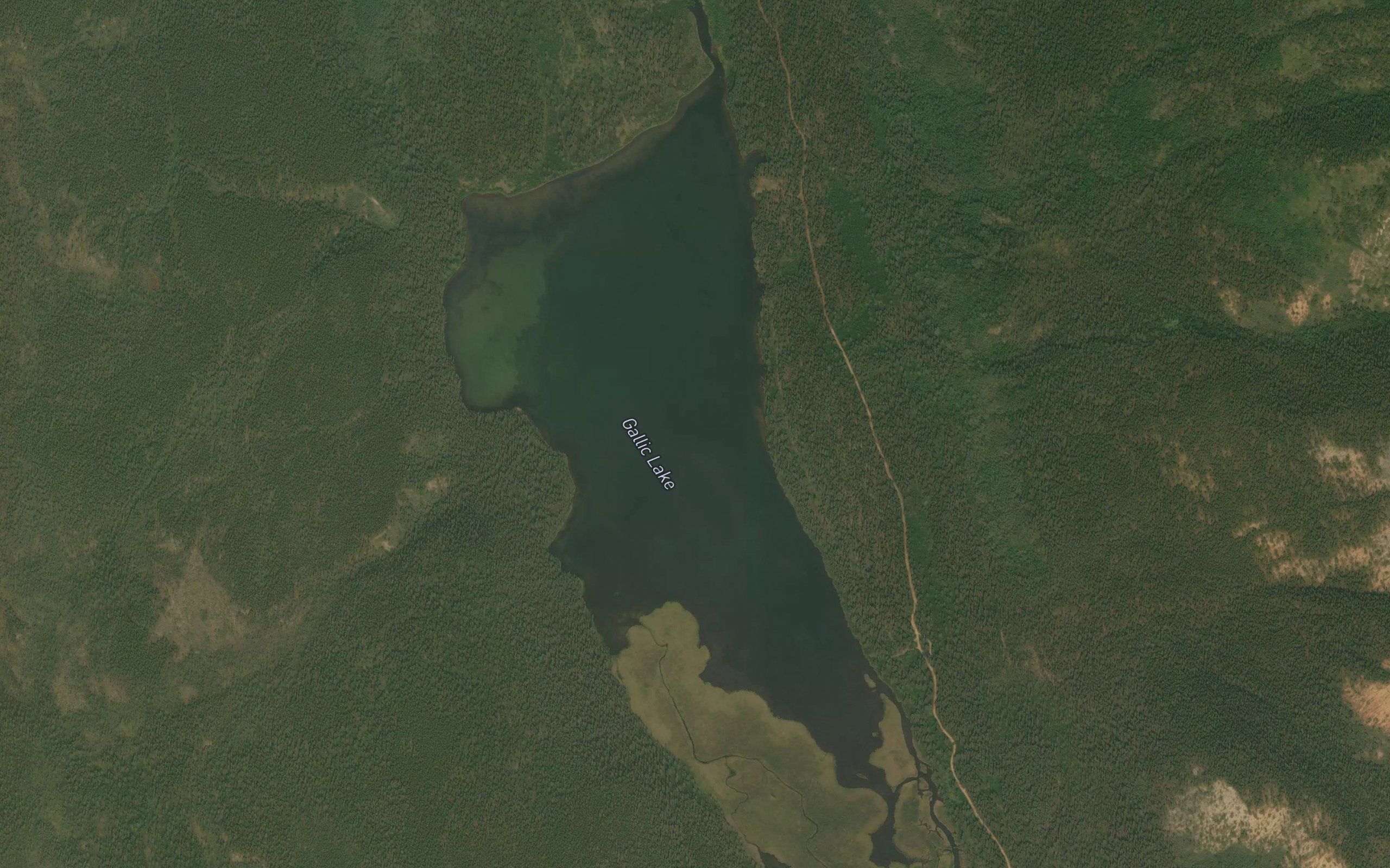 Gallic Lake