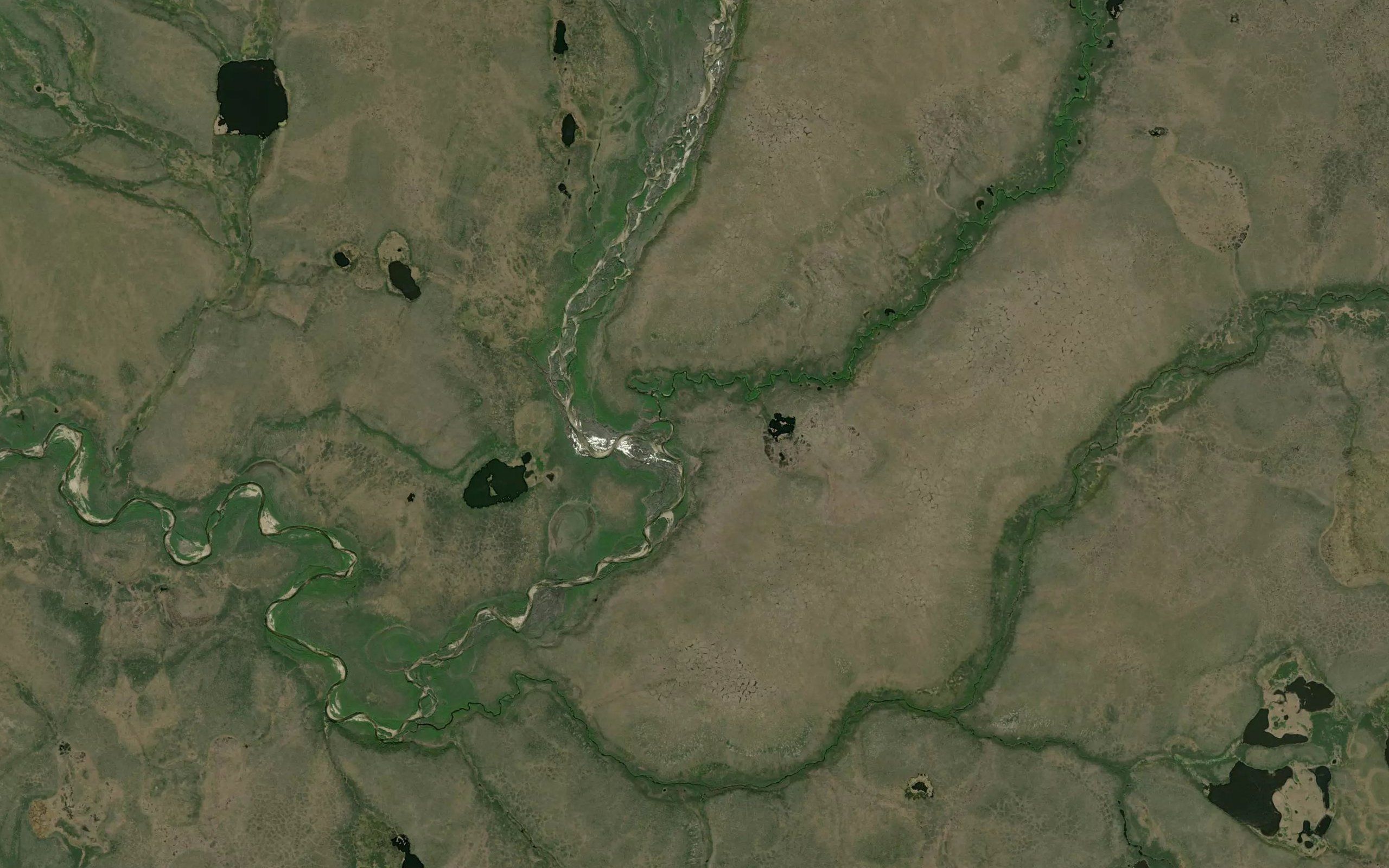 Johnston Creek