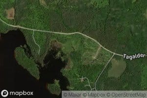 Tag-Alder Creek