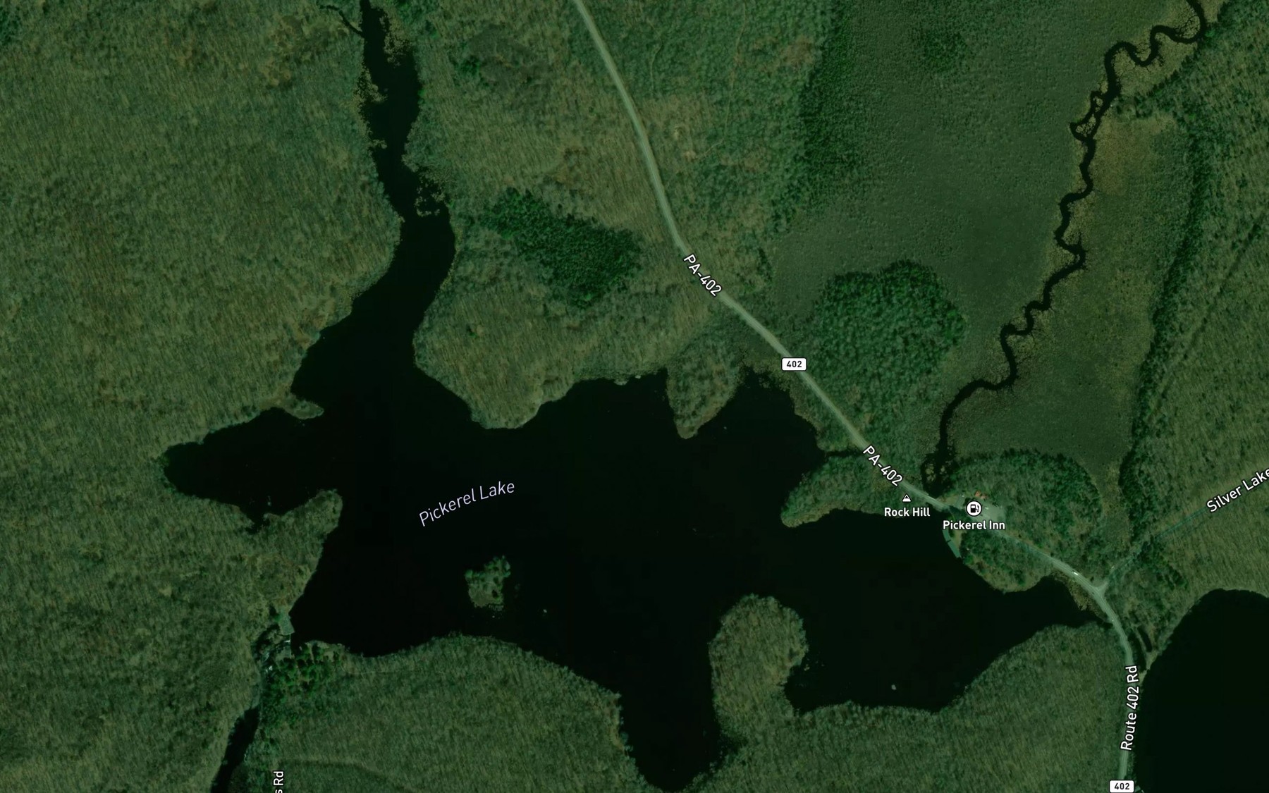 Satellite map of the Pickerel Lake