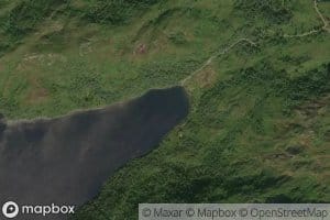 Movatnet