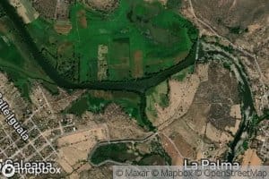 Hermenegildo Galeana