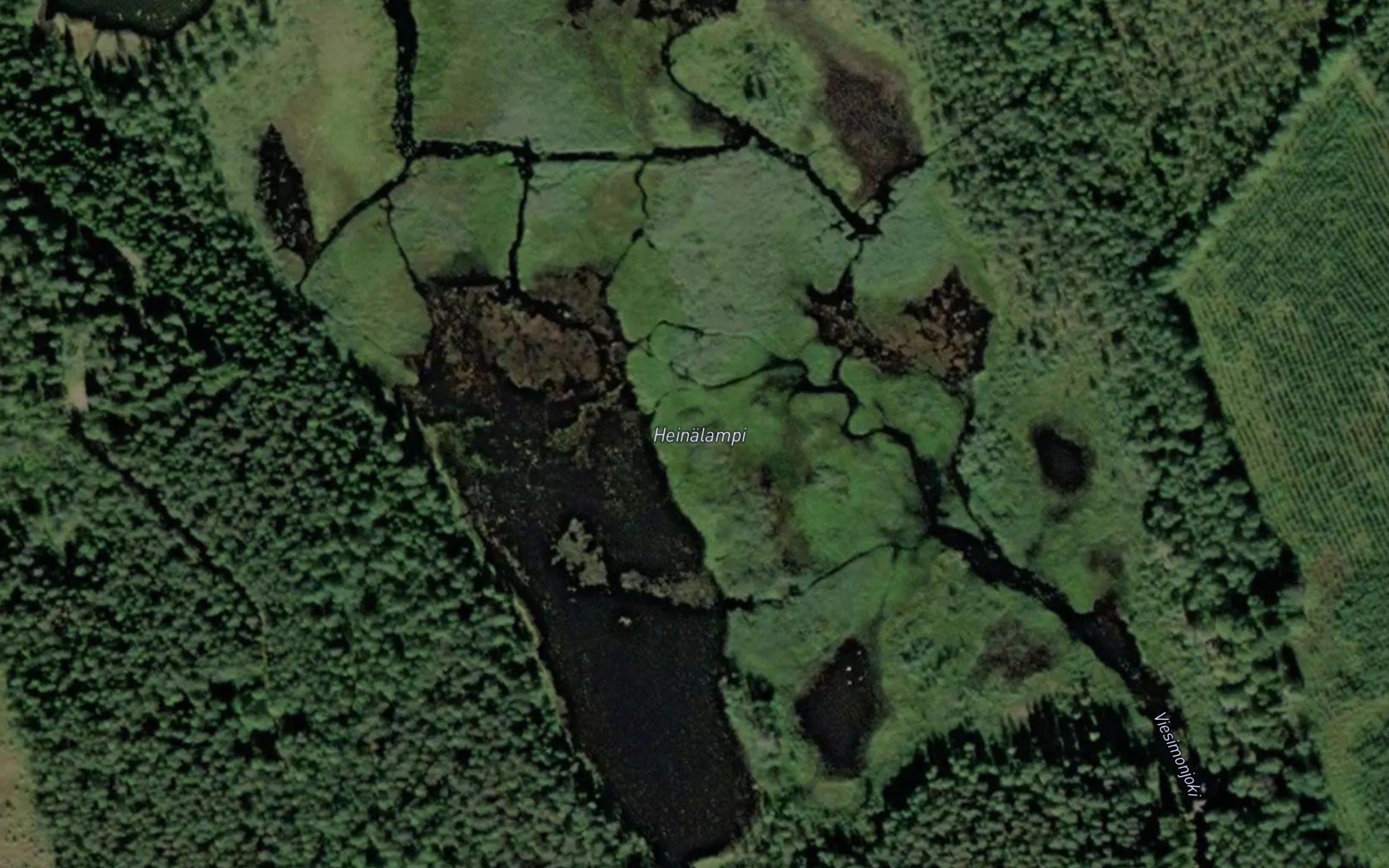 Heinalampi