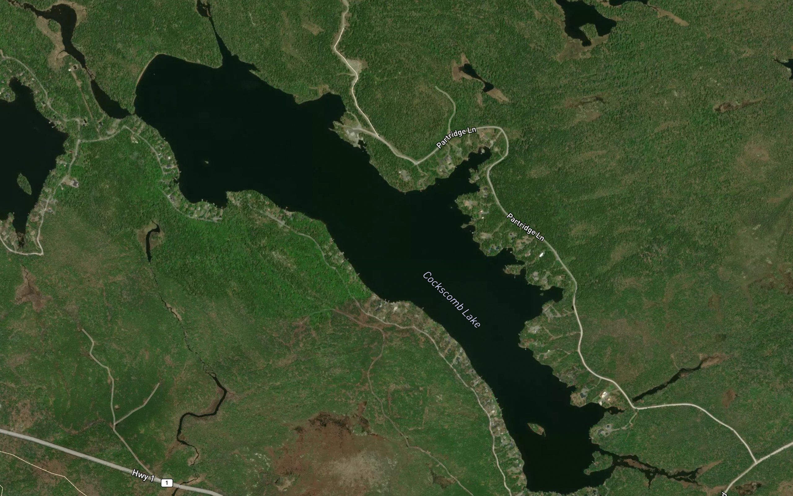Cockscomb Lake