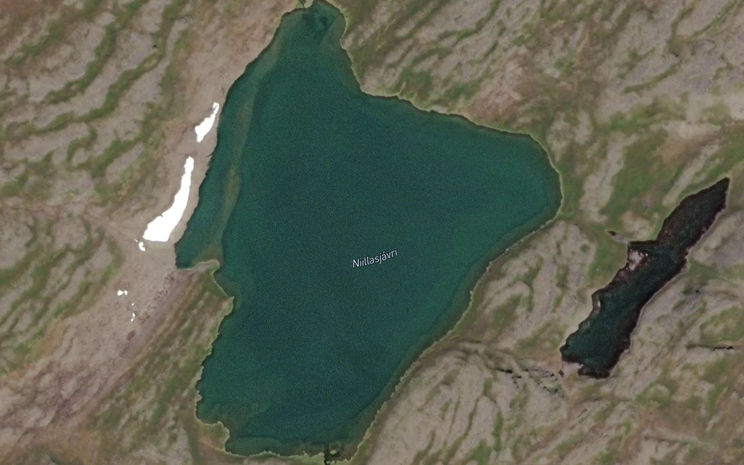 Niilasjavri