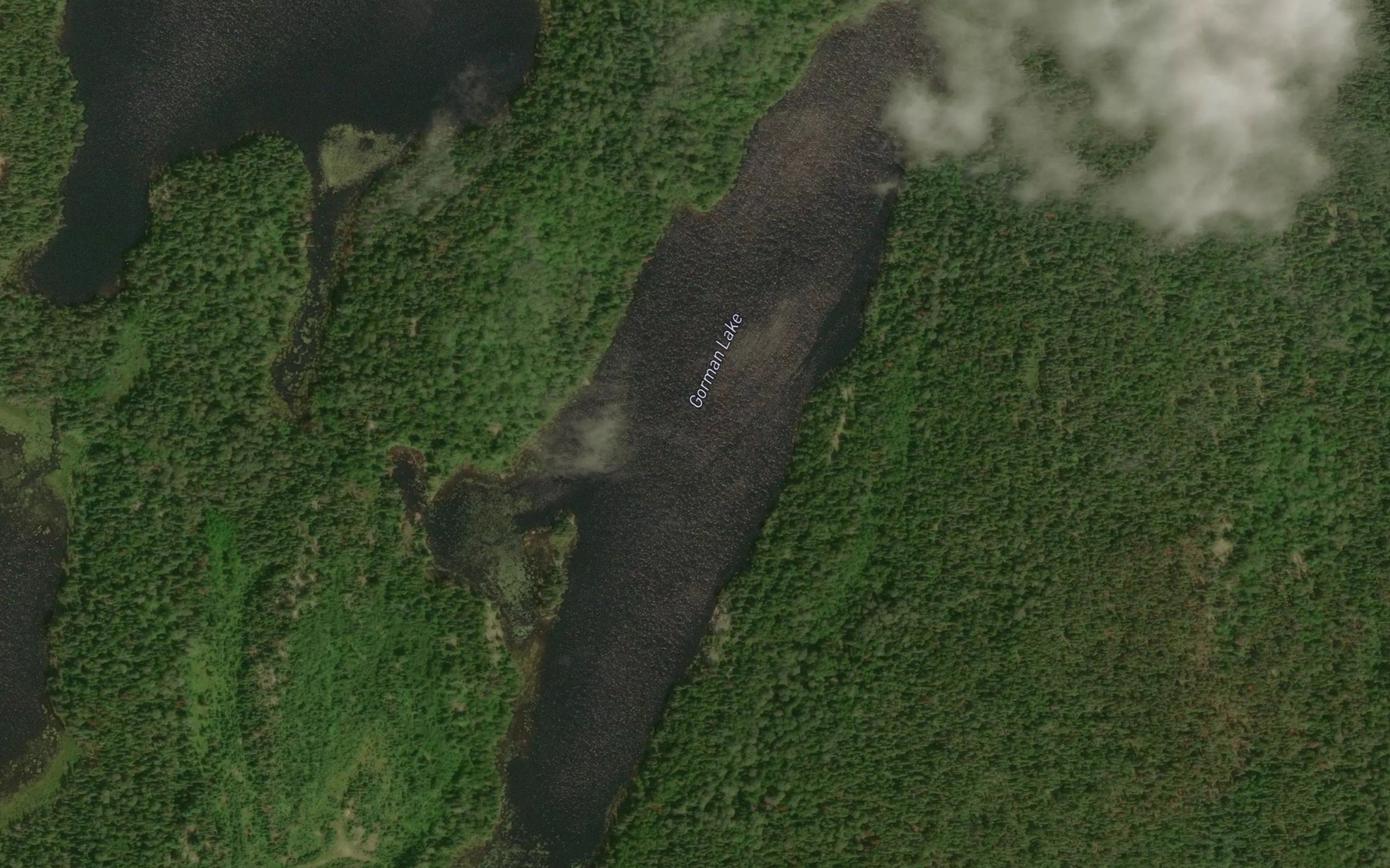Satellite map of the Gorman Lake