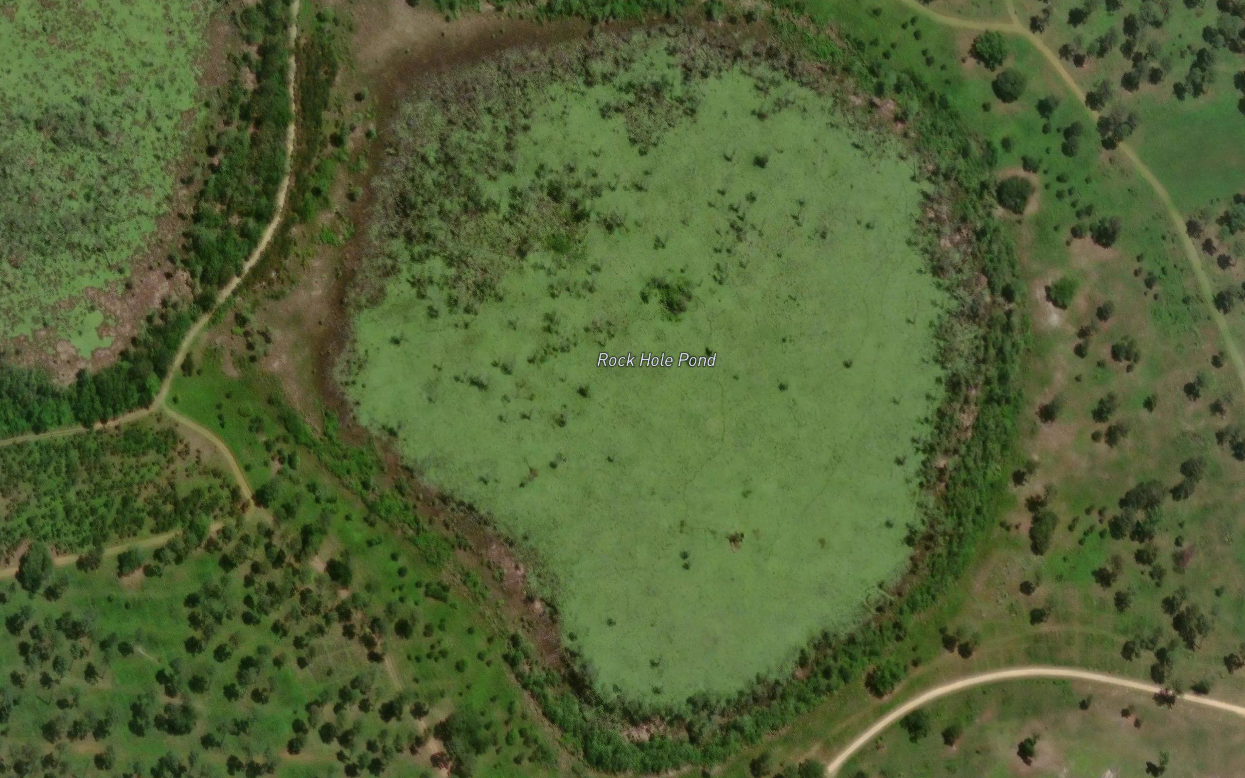 Rock Hole Pond