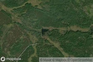 Little Bear Flowage 3