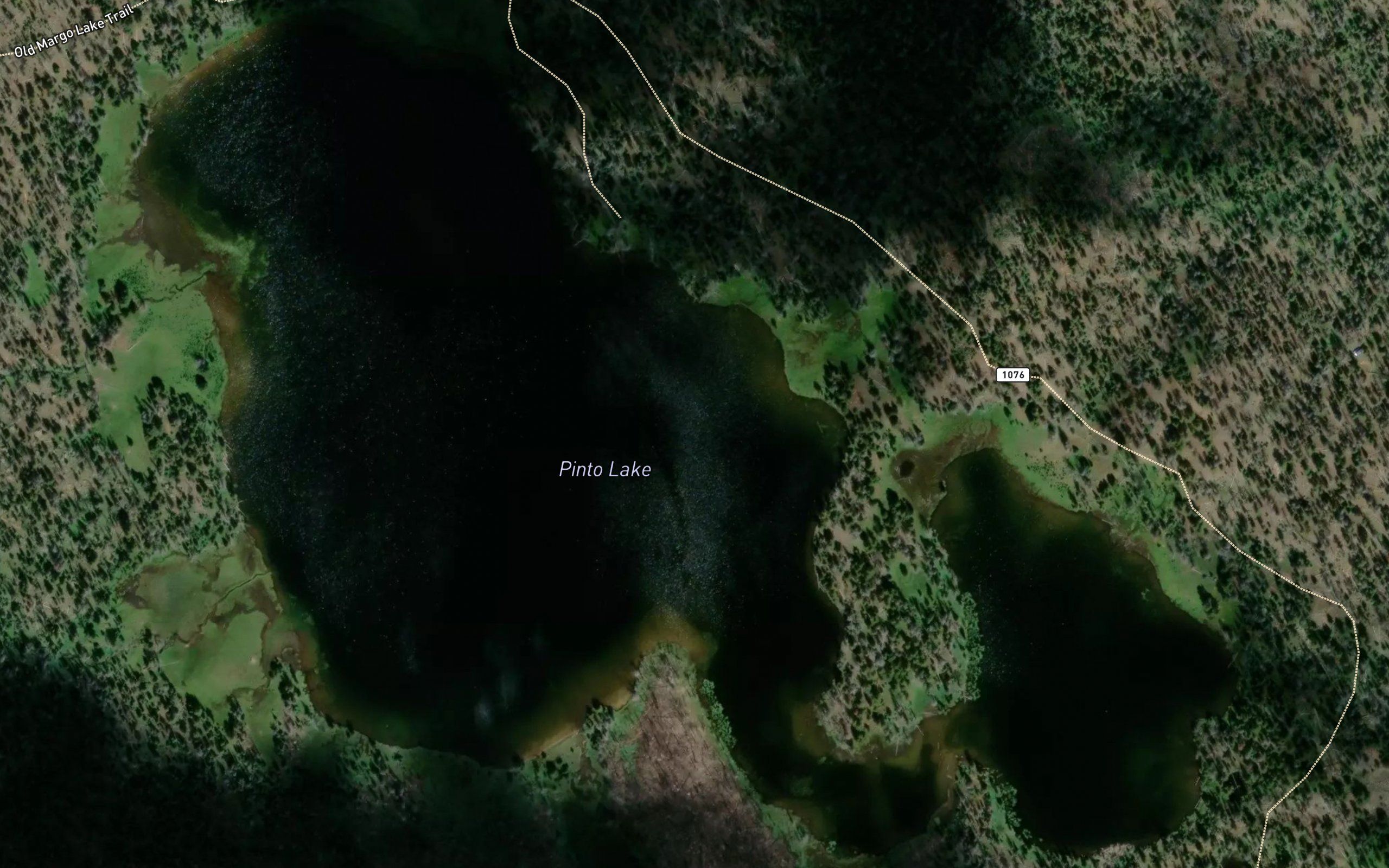 Pinto Lake