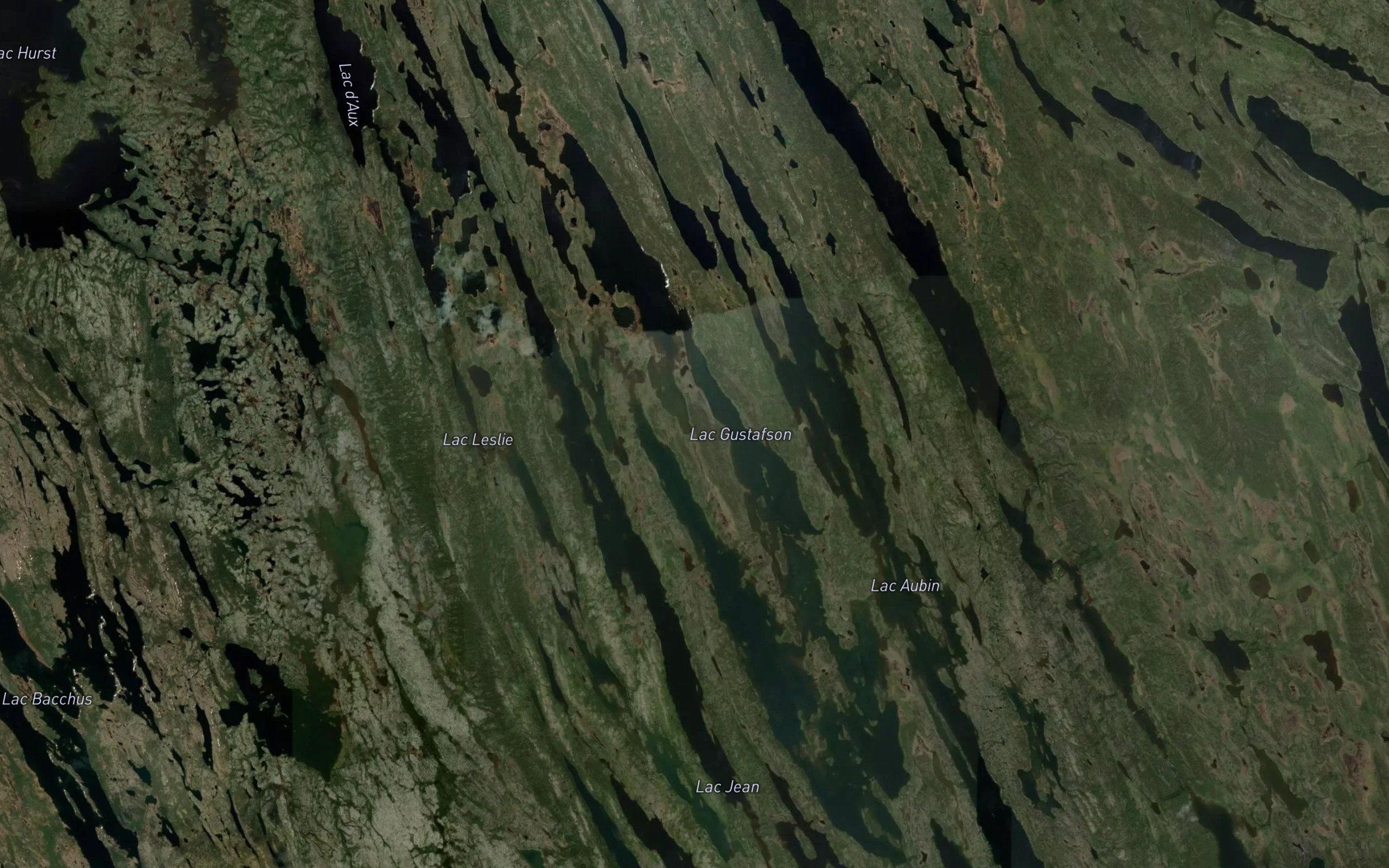 Lac Gustafson
