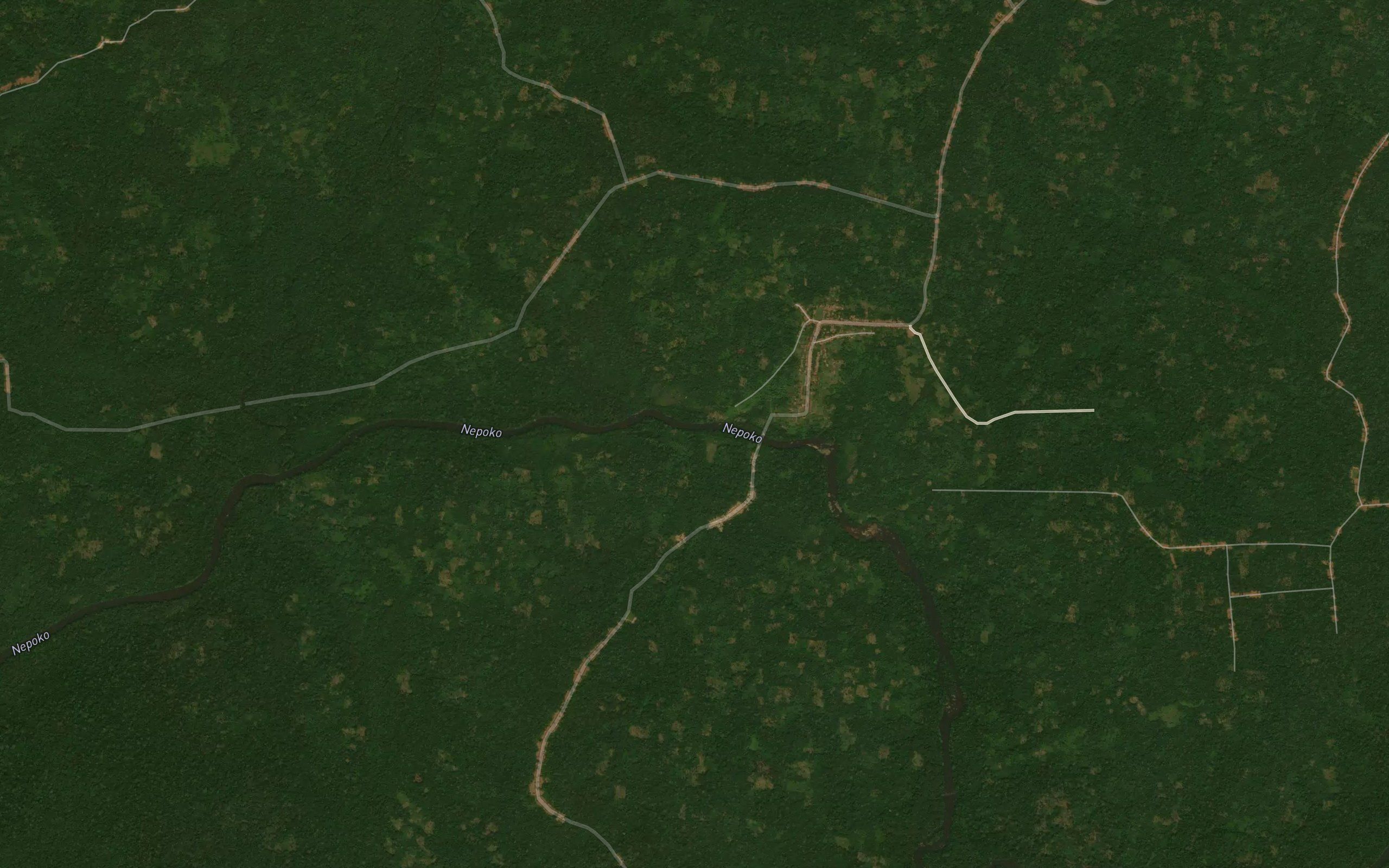 Akungu