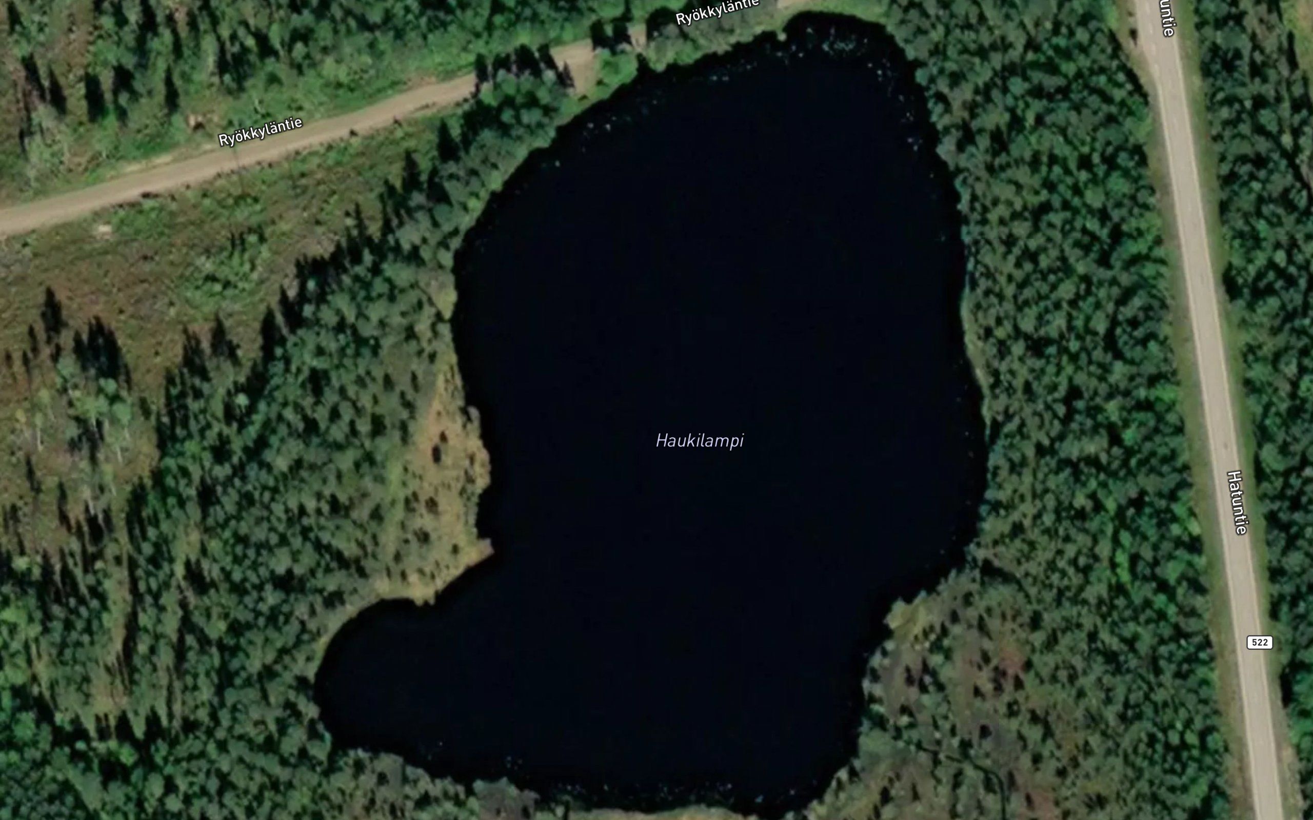 Haukilampi