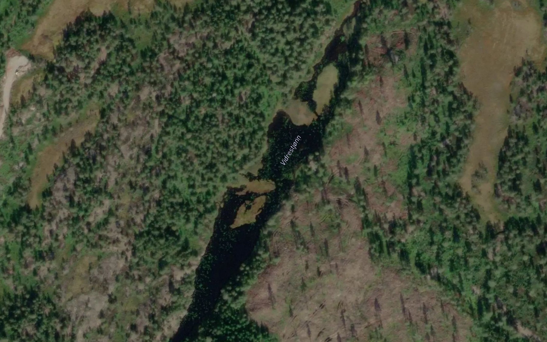 Satellite map of the Vidrestjorn