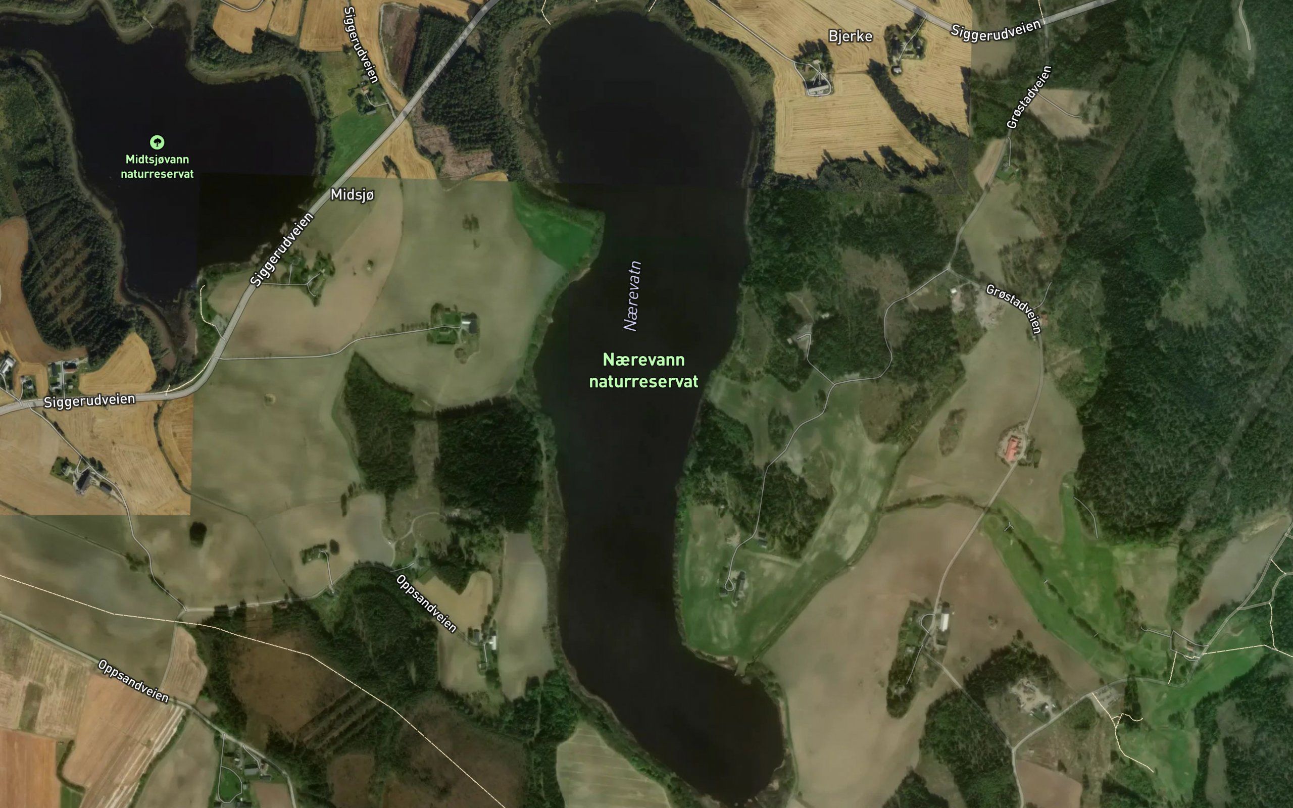 Naerevannet