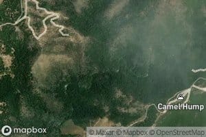 Million Dollar Creek