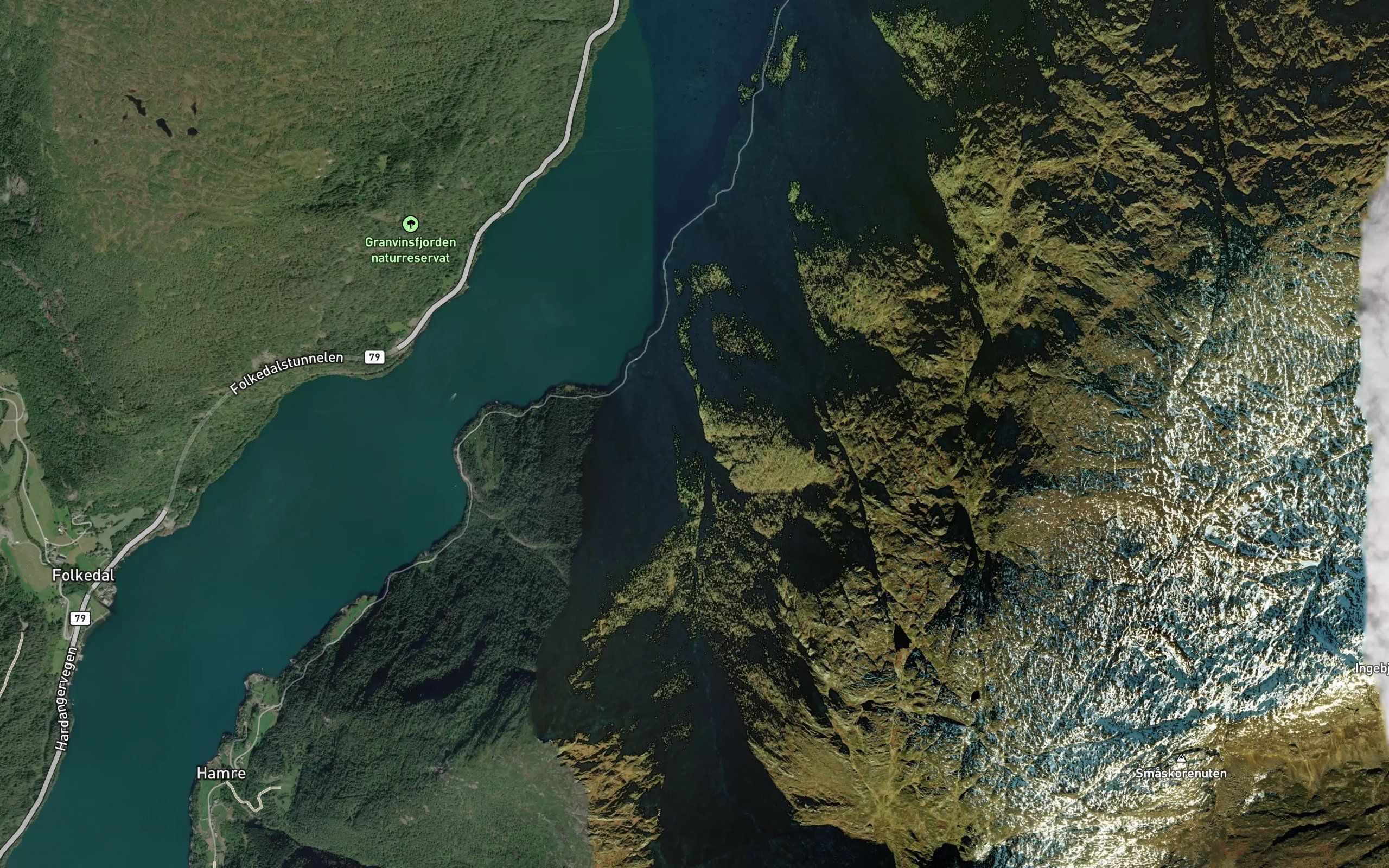 Drivfoss