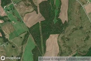 Rice Creek