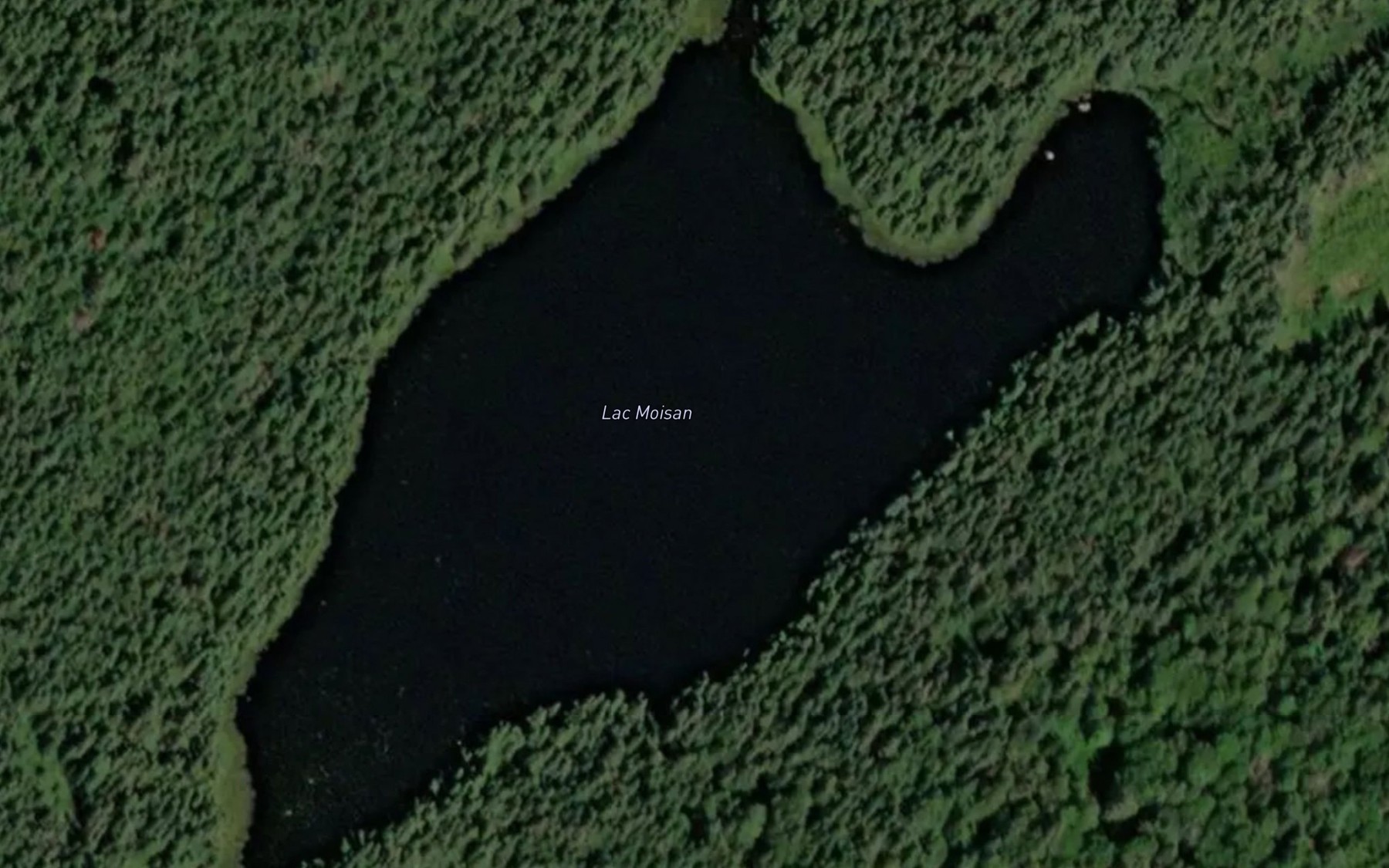 Satellite map of the Lac Moisan