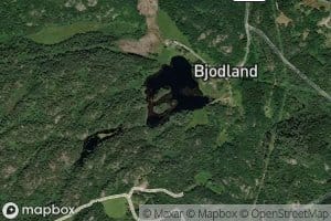 Bjodlandstjonna
