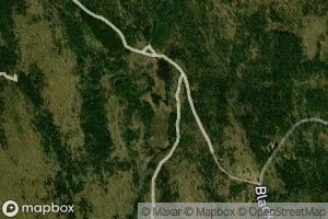 Parker Brook