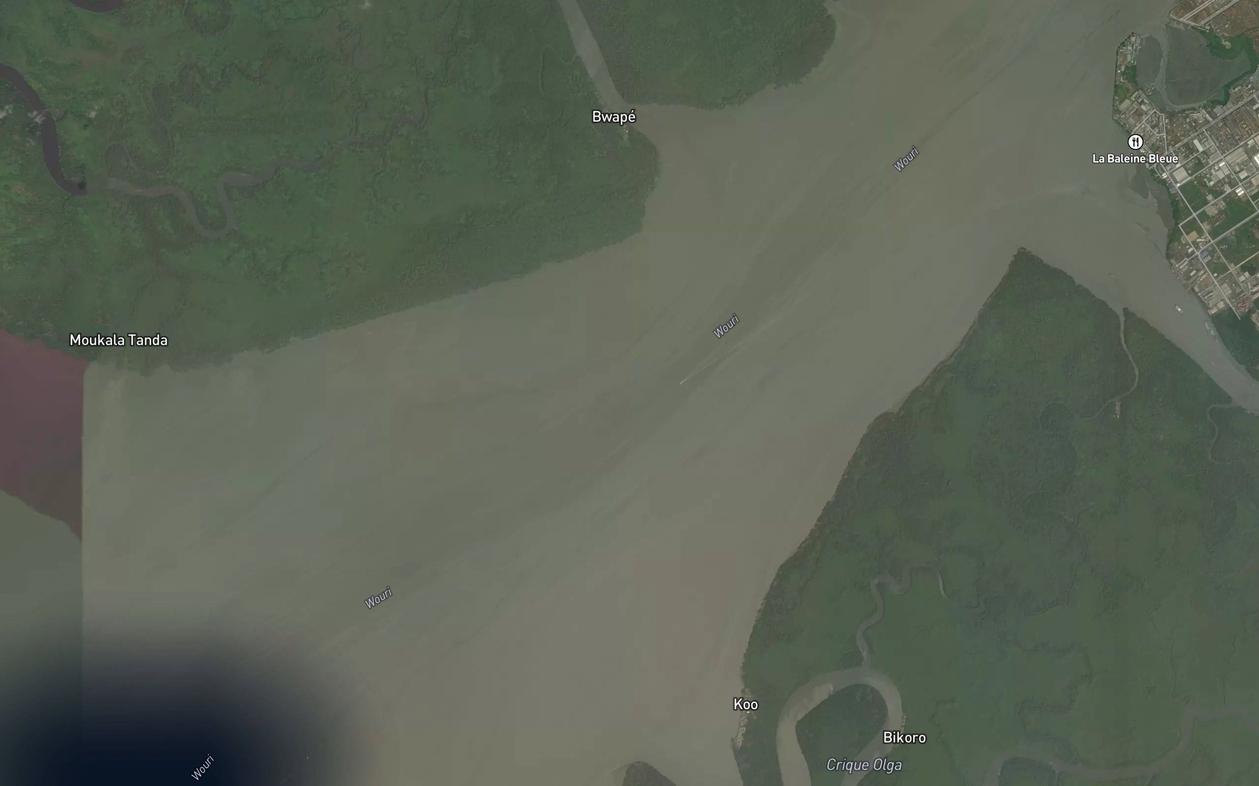 Wouri River