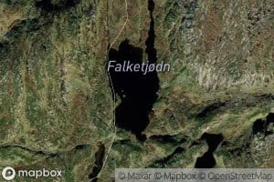 Falketjornene