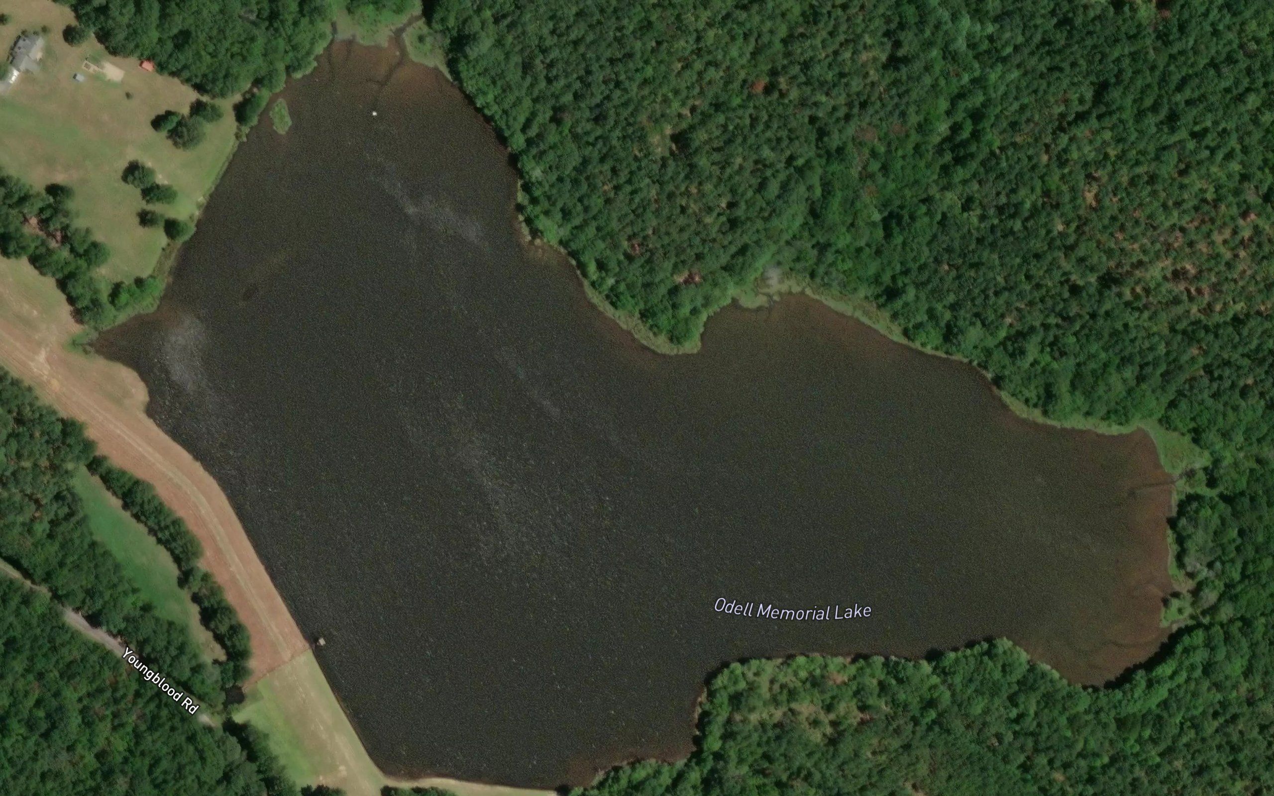 Odell Memorial Lake