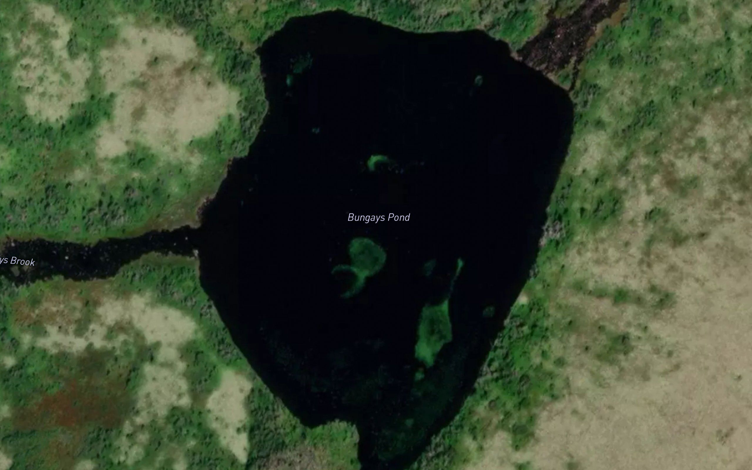 Bungays Pond