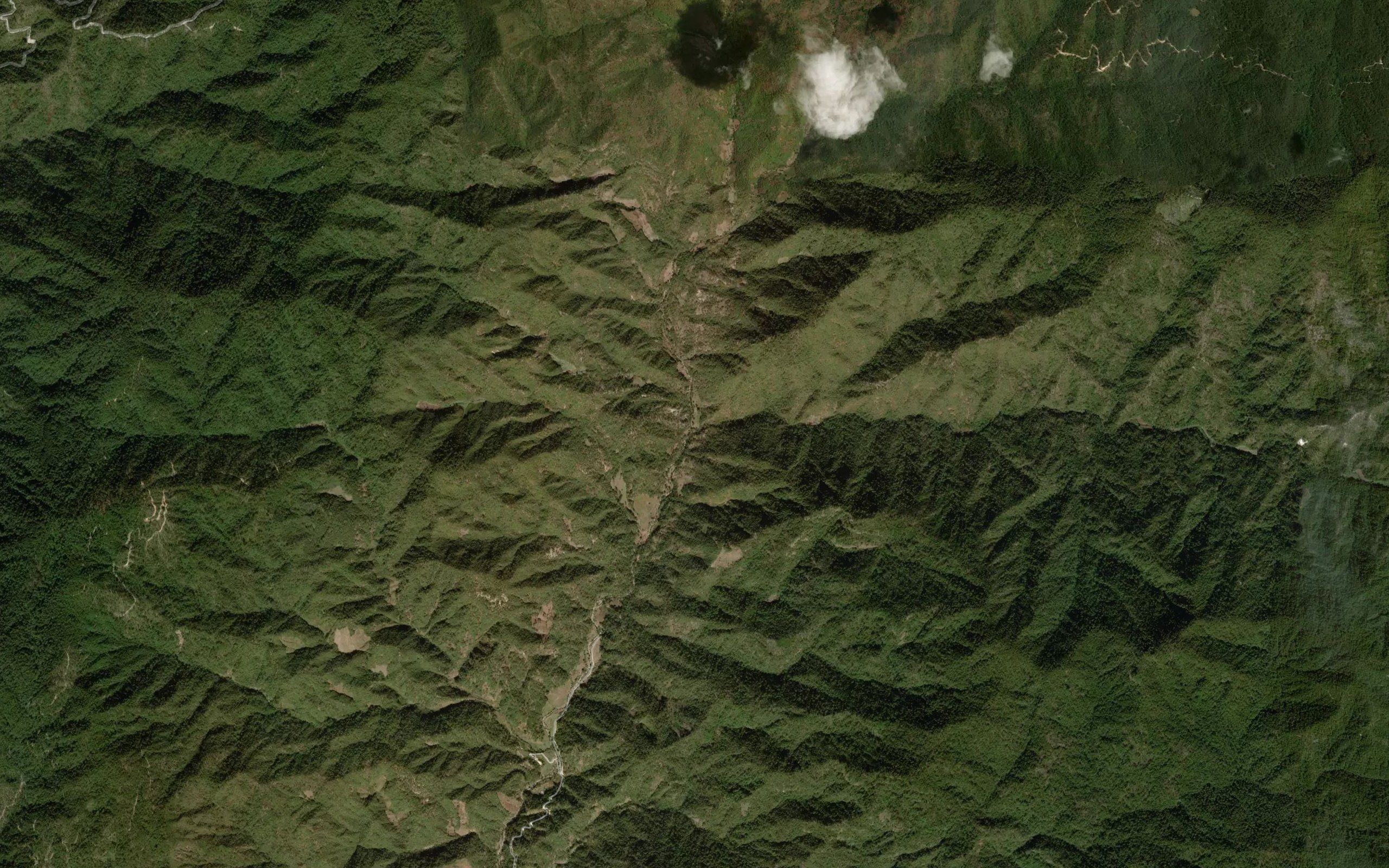 El Ocote