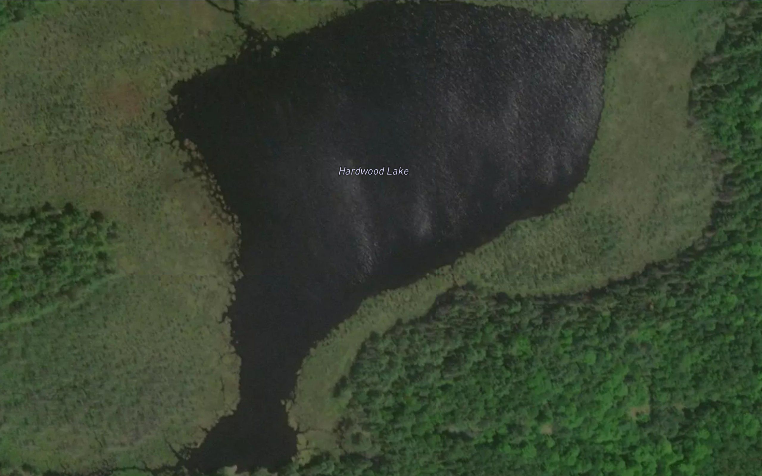 Hardwood Lake