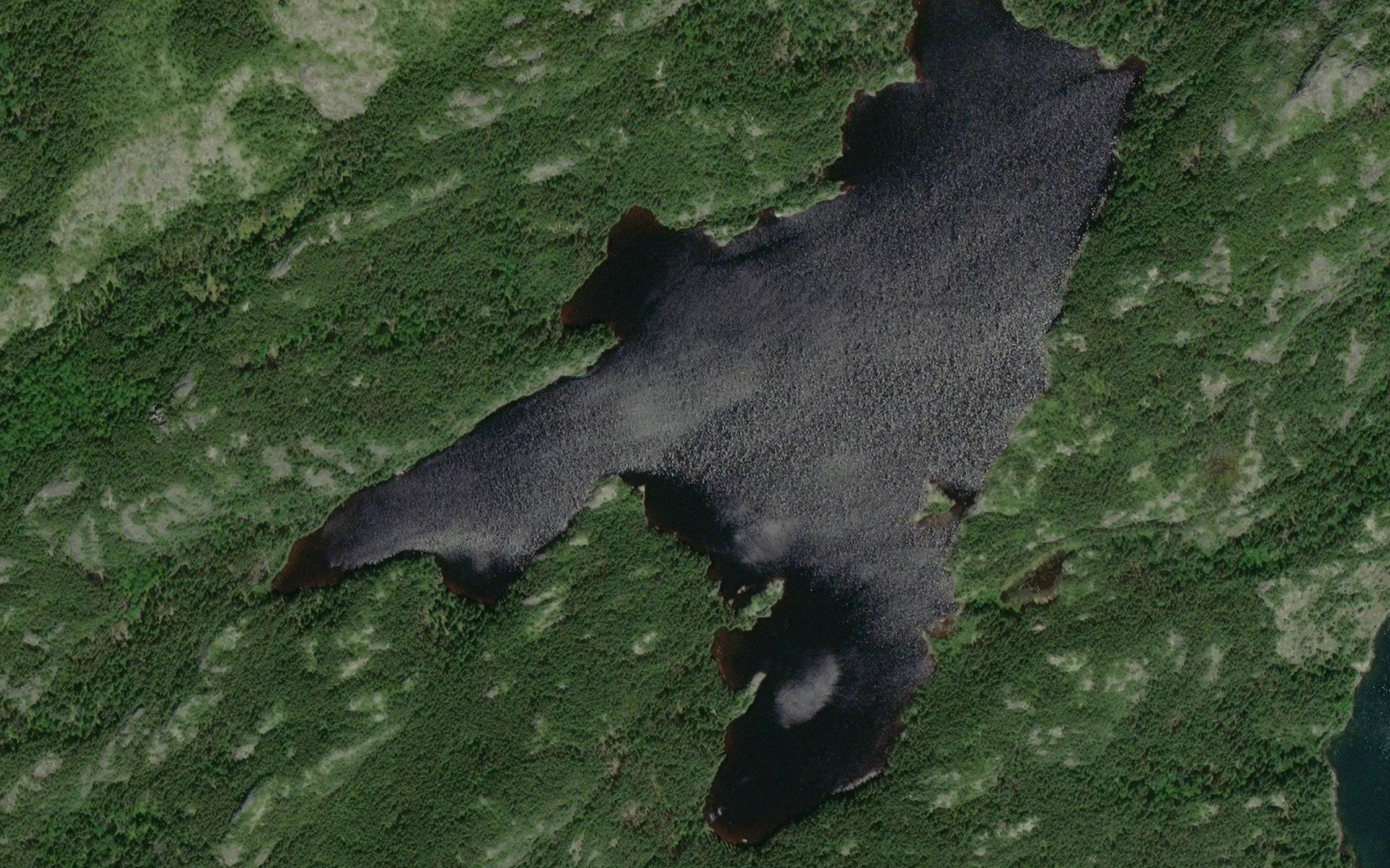 Matchims Cove Pond