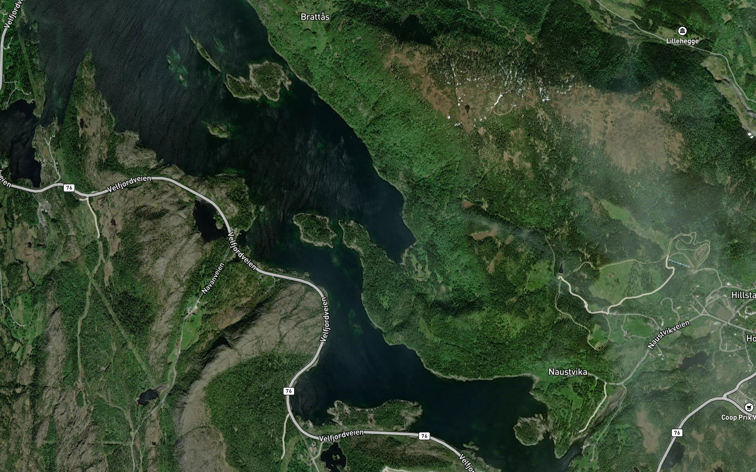Breidvika