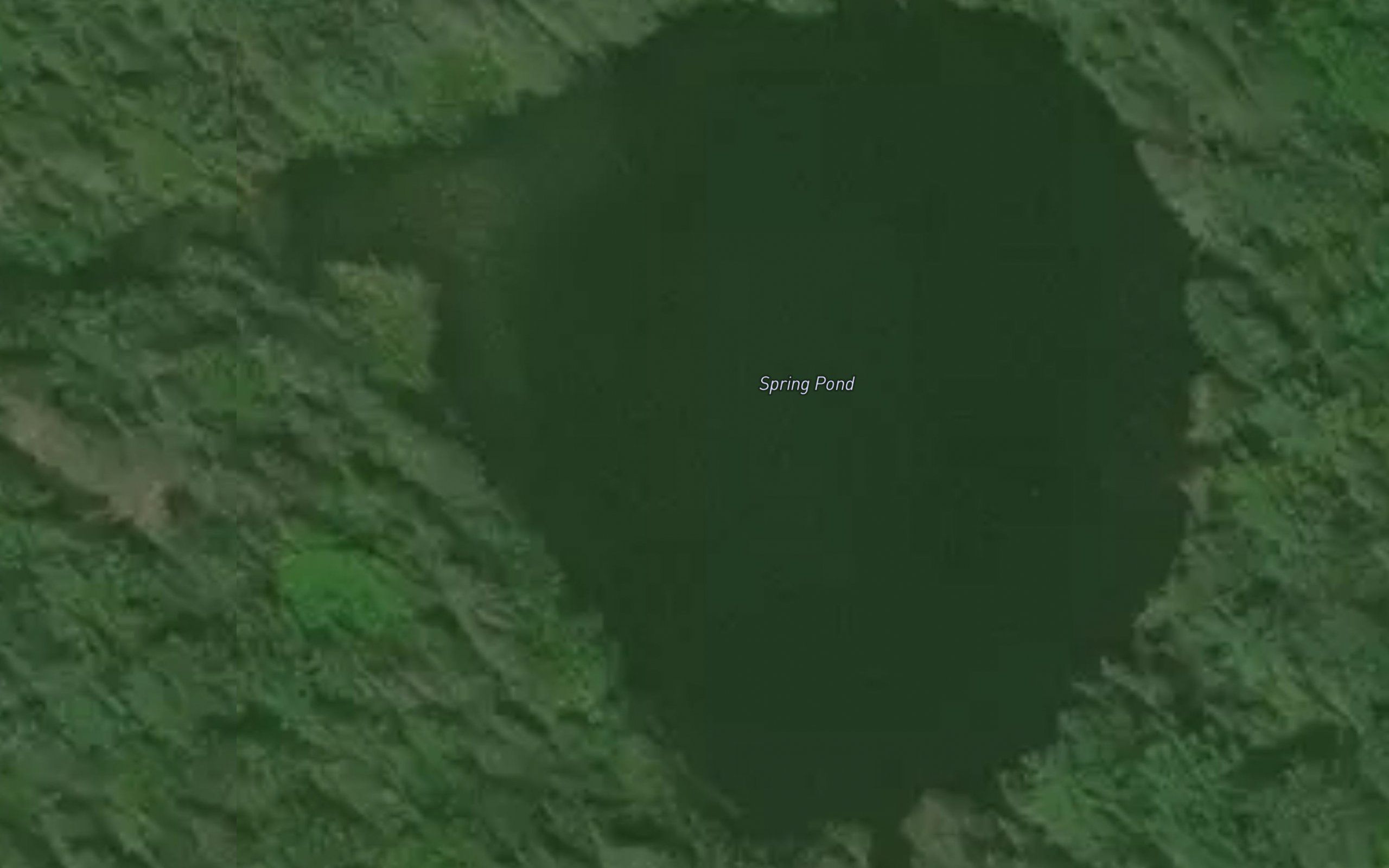 Spring Pond