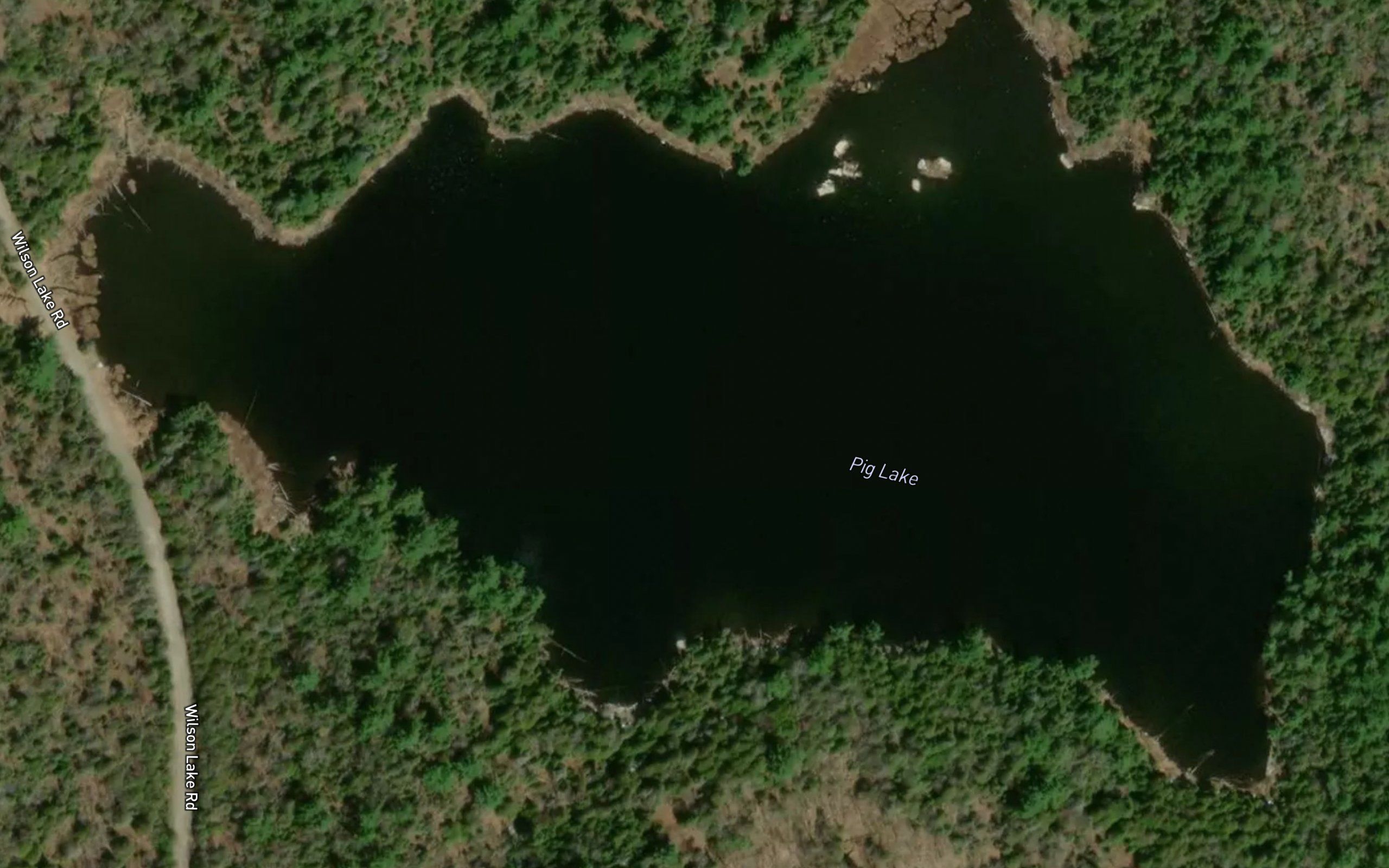 Pig Lake