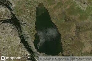 Bukketjorn