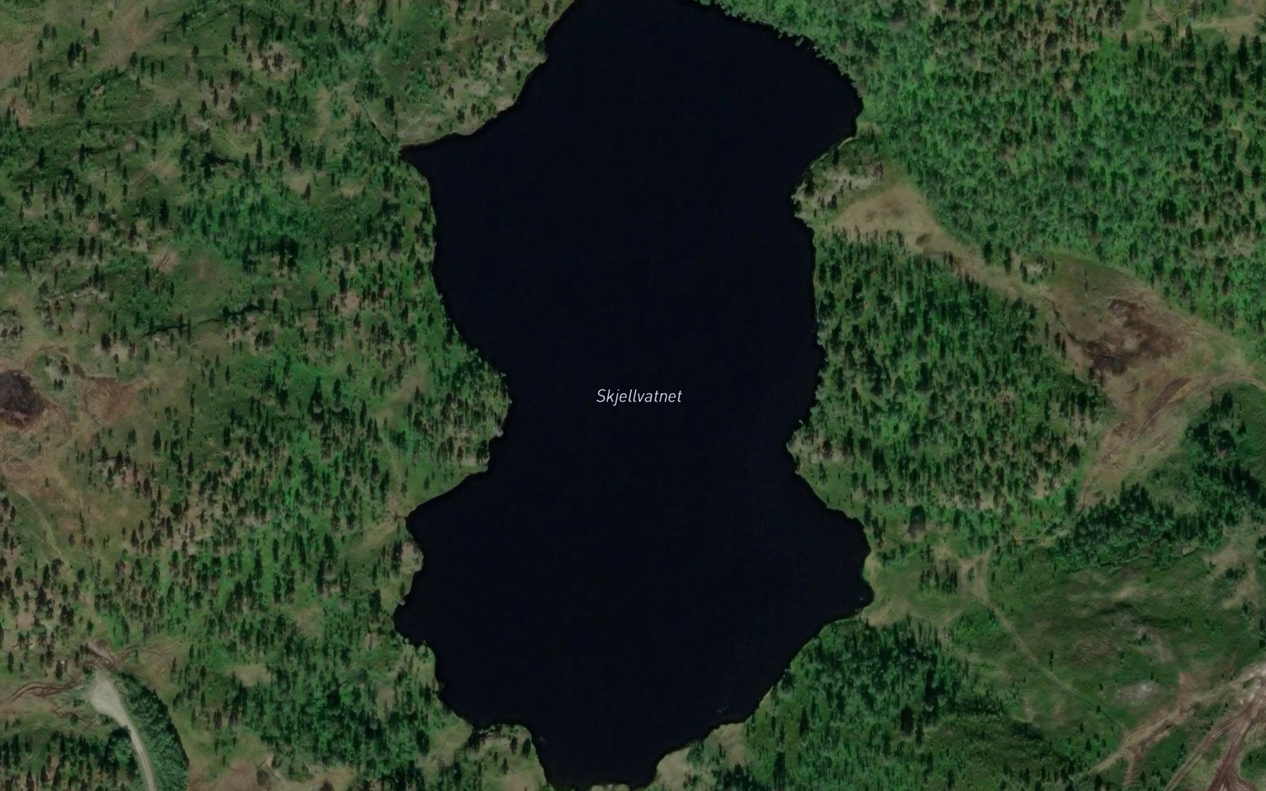 Satellite map of the Skjellvatnet