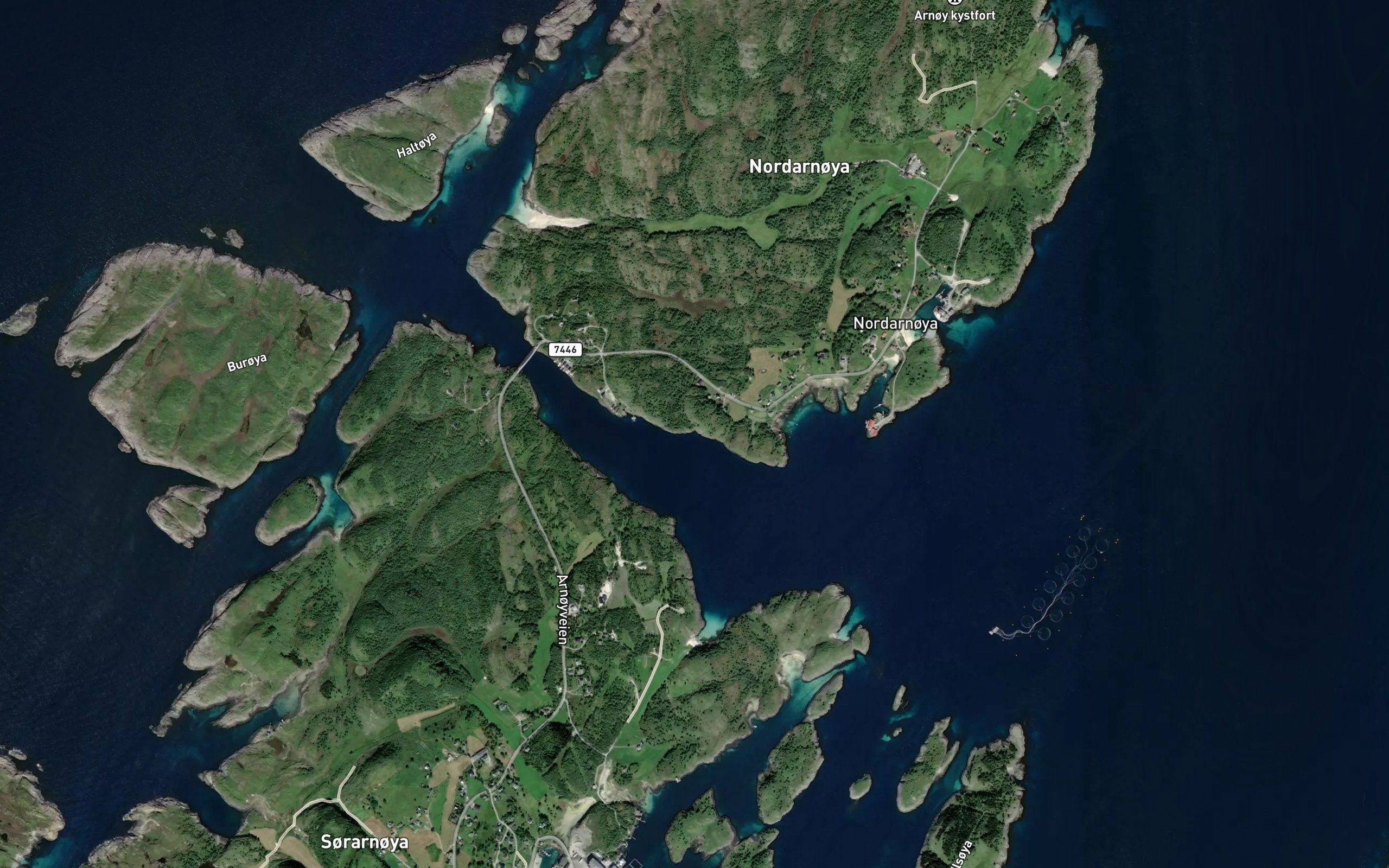 Kattvika